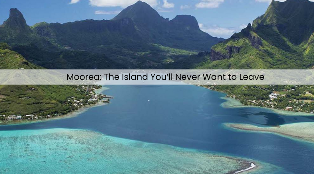 Moorea ariel image of bay and mountains